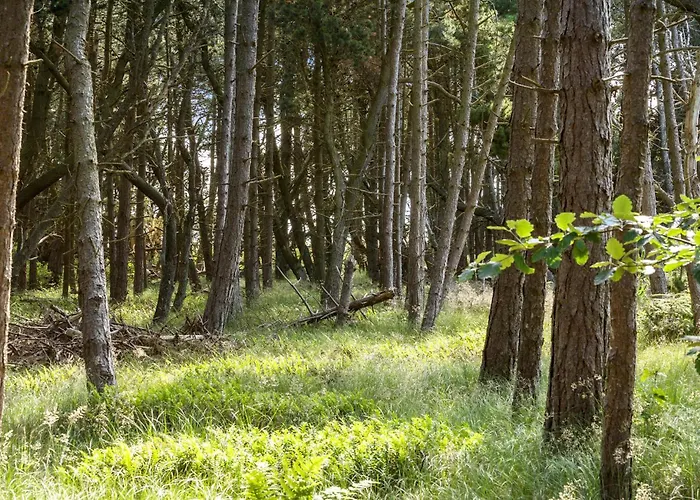 Feriehus Stunning In With Sauna *